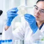 Parasite Treatment Research Trends Worth Watching