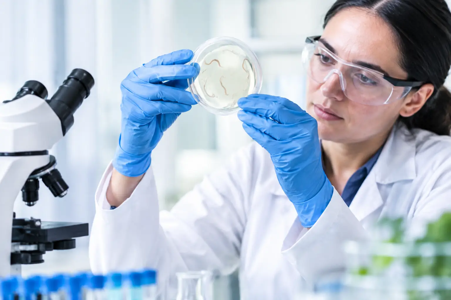 Parasite Treatment Research Trends Worth Watching